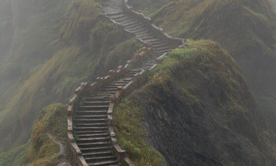 A winding mountain staircase fading into mist, symbolizing commitment to the process rather than obsession with results.