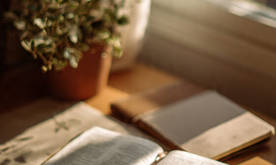 An open Bible and notebook on a sunlit desk symbolizing meditation, application, and visible growth in life and faith